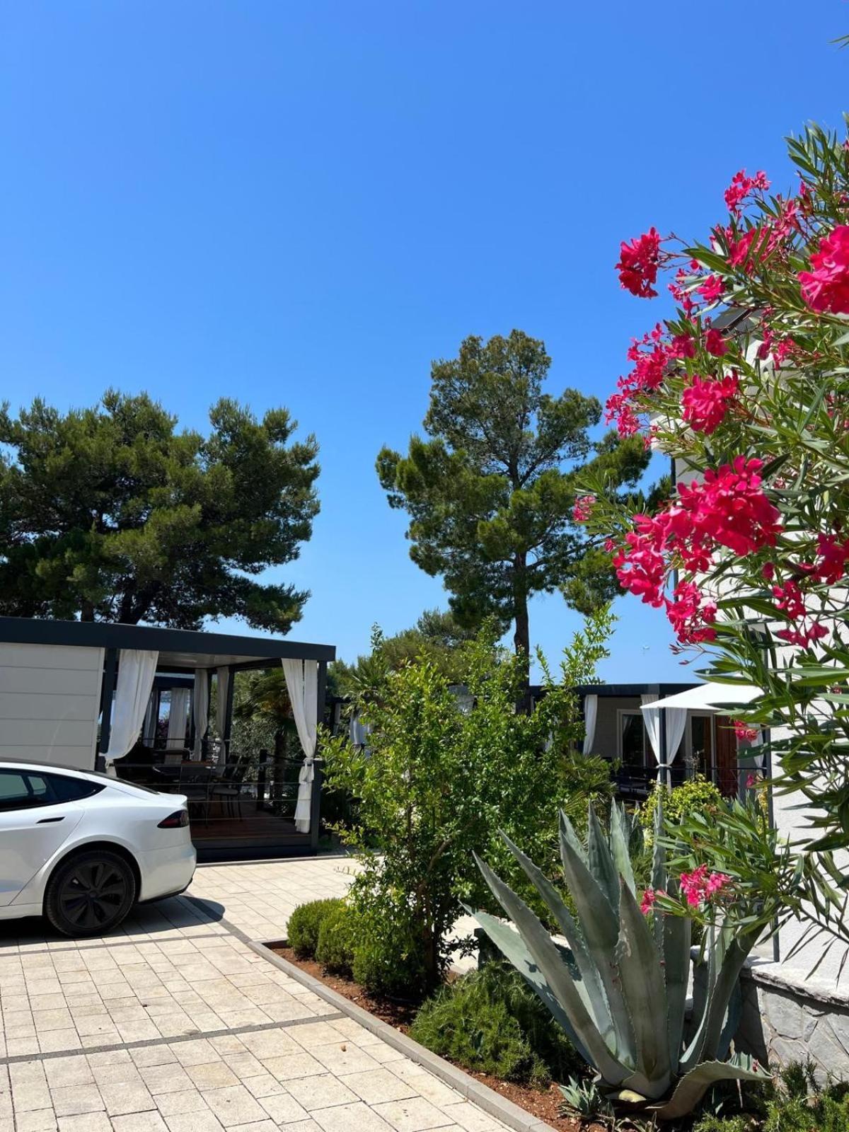 Dalmaris Camp - Prestige Mobile Homes Biograd Na Moru Eksteriør billede