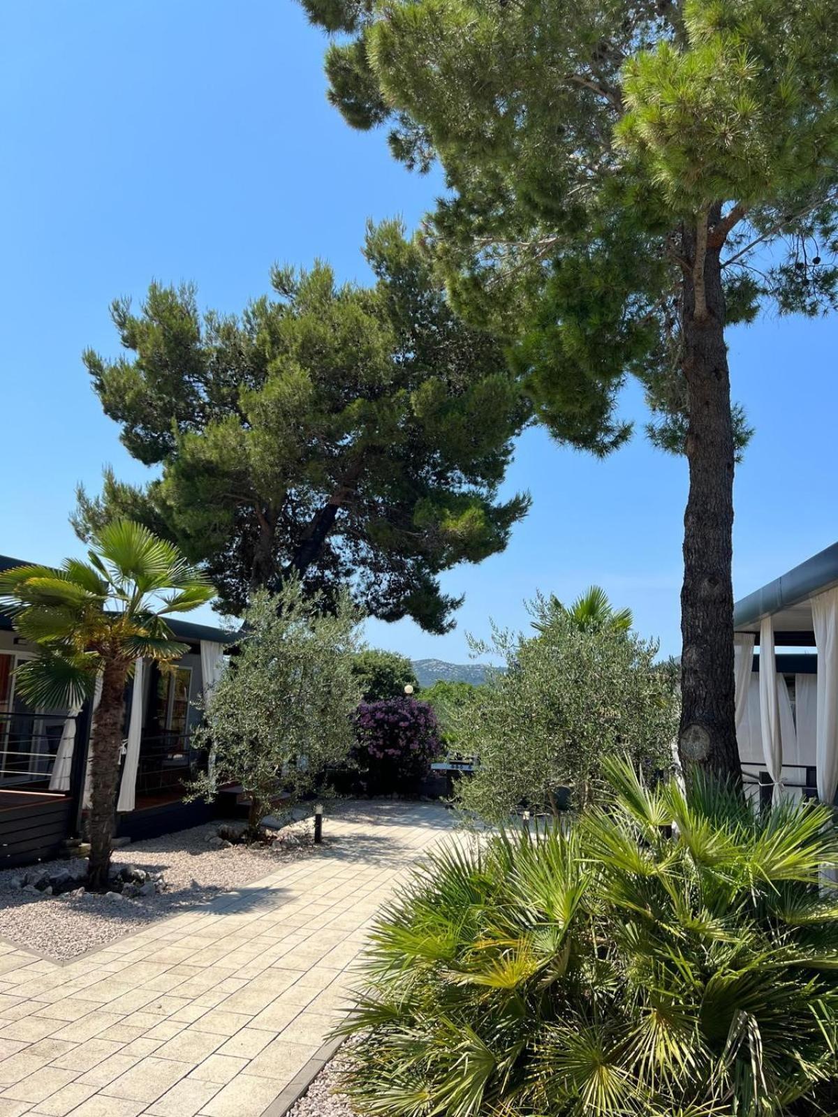 Dalmaris Camp - Prestige Mobile Homes Biograd Na Moru Eksteriør billede